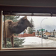 Illustration for article titled “View From My Window” Is the Last Good Group on Facebook